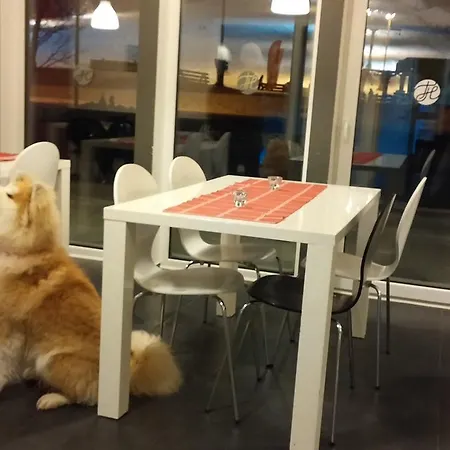 Tuhamaee 호스텔 *